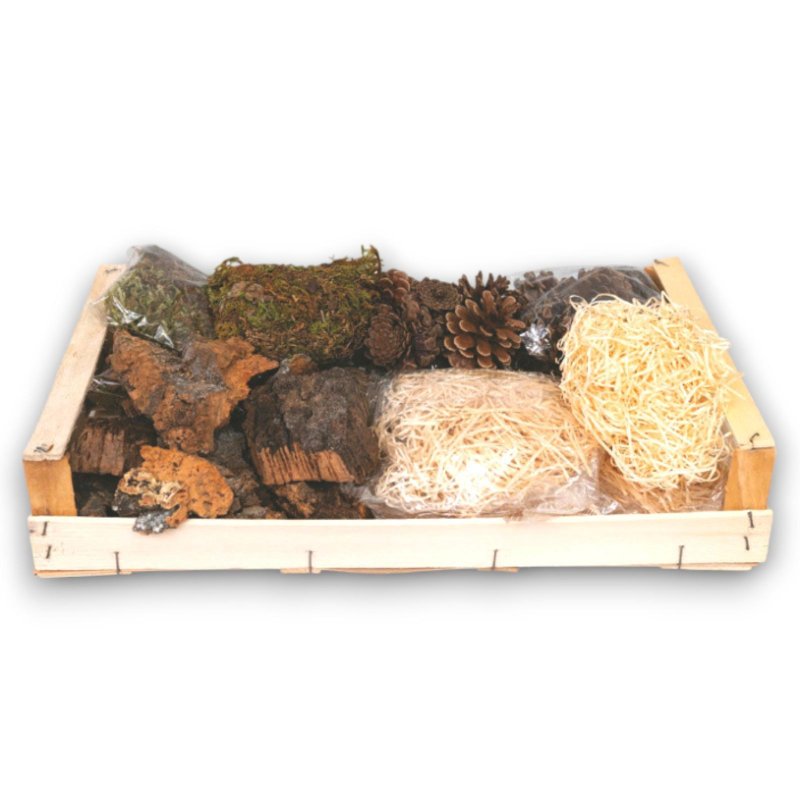 Cassetta Legno con Muschio, Sughero, Paglia e Pigne - PR-24602