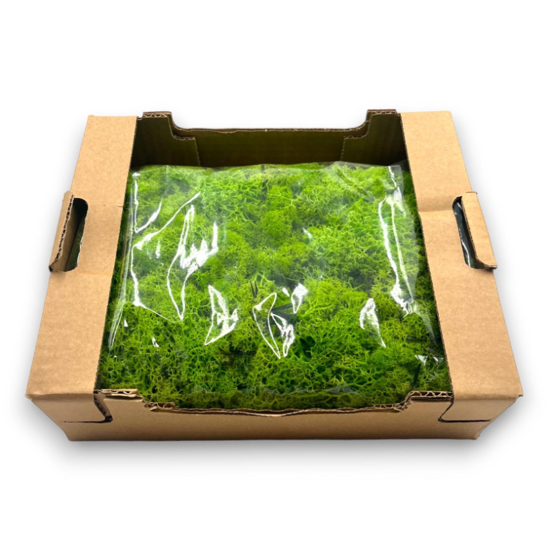 Muschio Stabilizzato Naturale Scatola da 300 gr. Verde Chiaro