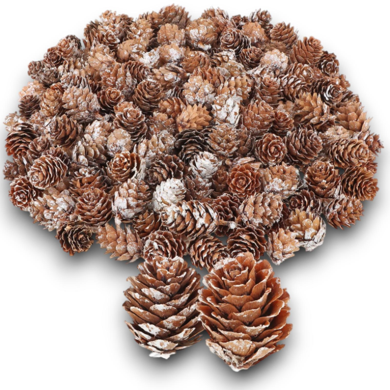 Pigne Naturali in larice Innevate 100 gr Dimensioni Varie assortite 3 cm