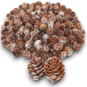 Pigne Naturali in larice Innevate 100 gr Dimensioni Varie assortite 3 cm 