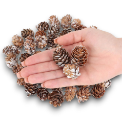 Pigne Naturali in larice Innevate 100 gr Dimensioni Varie assortite 3 cm 