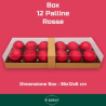 Set 12 Palline Assortite - 6 cm - Rosso