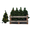 Pinetto VERDE CON LUCI LED 60 cm Albero di Natale CON BASE LEGNO in PP+PVC