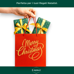 Set di 12 Buste Regalo in Carta - Rossa Glitterata con Scritto Oro - 25x20x10 cm